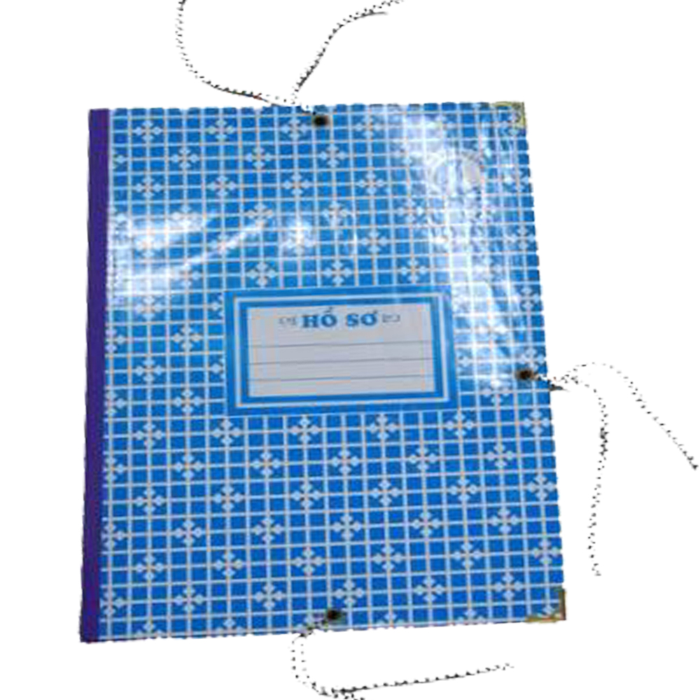 Bìa 3 dây 10F Thảo Linh